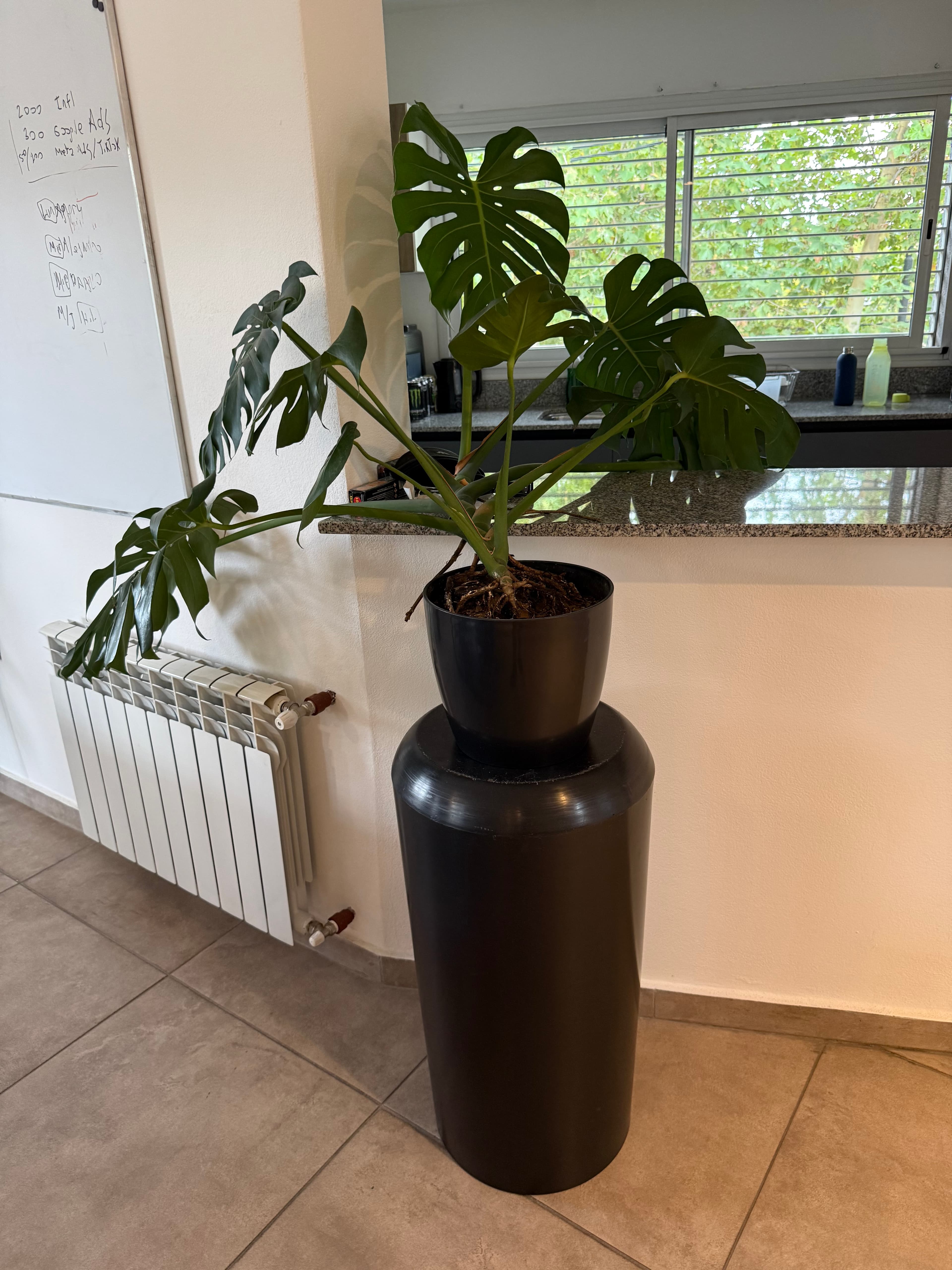 Maceta #3 con base - foto 1